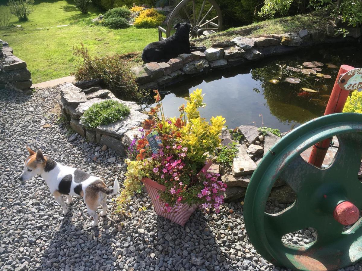 Stoke House Bed And Breakfast Stoke Rivers Екстериор снимка